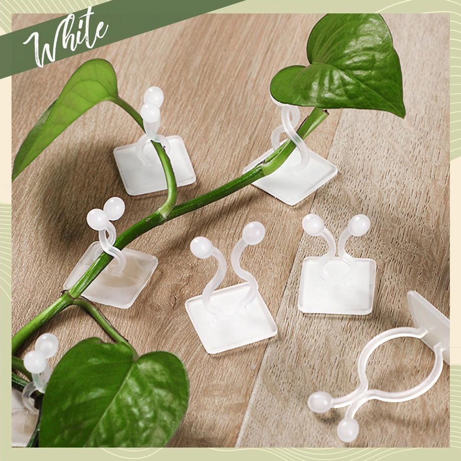 6156 wall Plant Climbing Clip widely used for holding plants and poultry purposes and all. 6156 wall Plant Climbing Clip widely used for holding plants and poultry purposes and all.